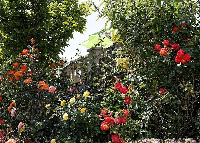 بيت ضيافة Garni Regina 3*